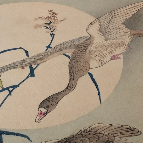 楳嶺 「楳嶺花鳥画譜　雁来紅　雁」
