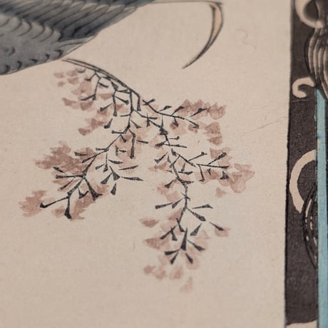 楳嶺 「楳嶺花鳥画譜　葦　鷂」
