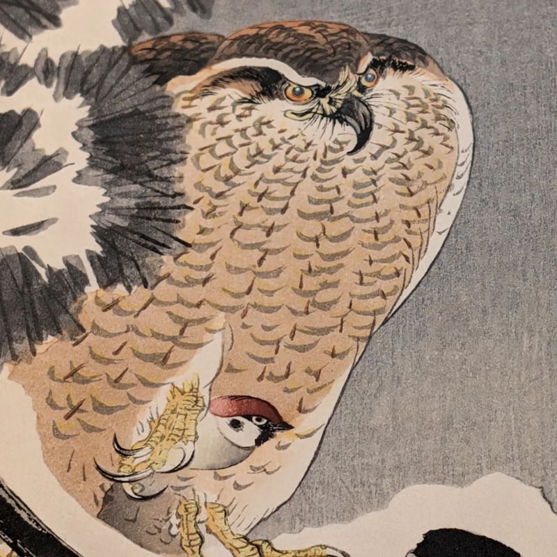 【古書】大正時代　廣重豊國名画百種 広重豊国名画百種 大名道中 裏表(秋好善太郎 編) / 古本、中古本、古