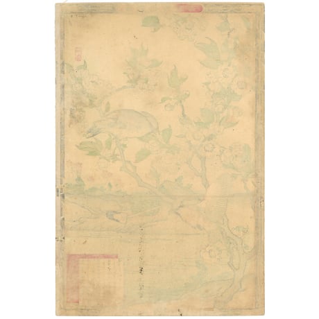 楳嶺 「楳嶺花鳥画譜　梨花　連雀」