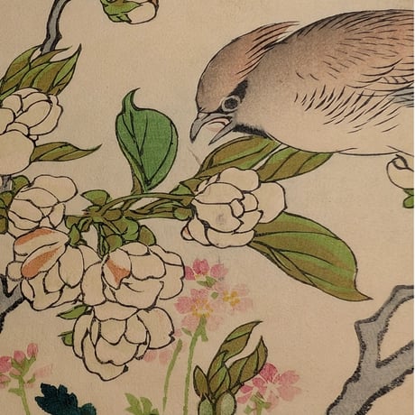 楳嶺 「楳嶺花鳥画譜　梨花　連雀」