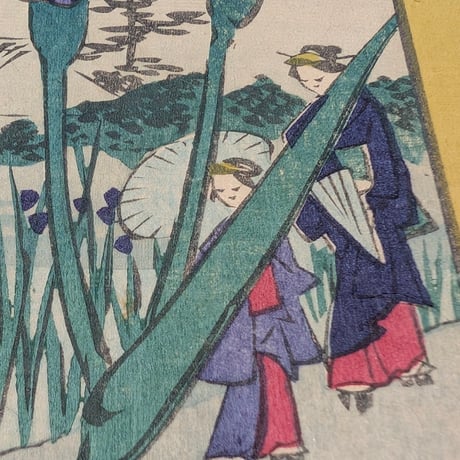 広重二代(立祥) 「東京名所三十六花撰　東京堀切花菖蒲」