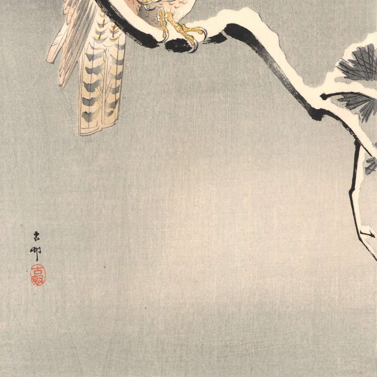 小原古邨 (雪松に大鷹と温め鳥) | 古美術もりみや