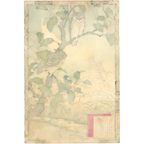 楳嶺 「楳嶺花鳥画譜　木犀花　鴟鵂(ミミズク)」