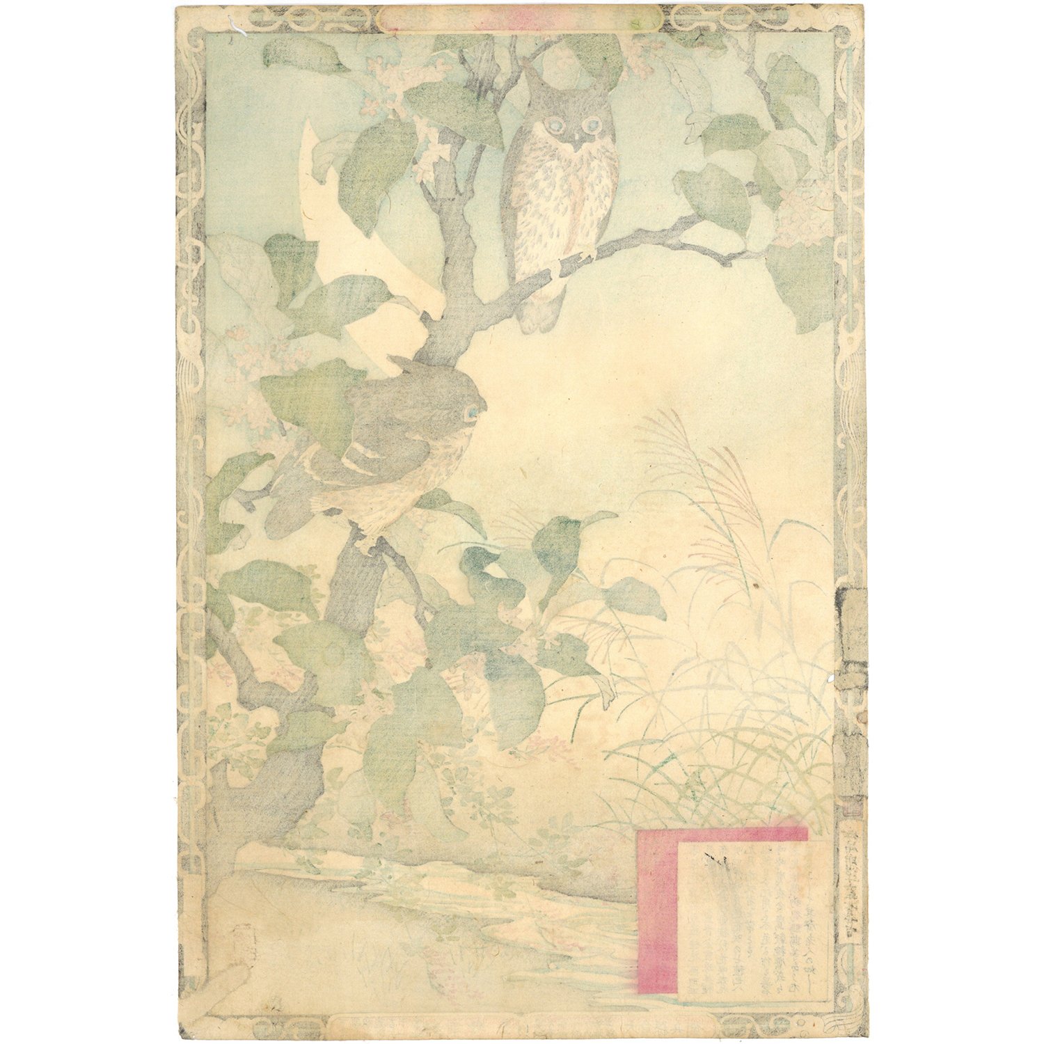 楳嶺 「楳嶺花鳥画譜 木犀花 鴟鵂(ミミズク)」 | 古美術もりみや