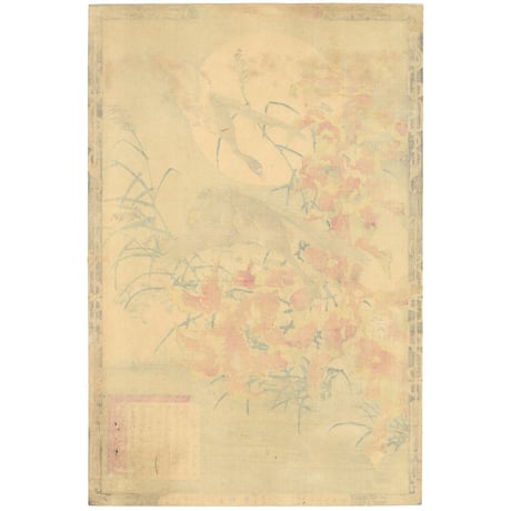 楳嶺 「楳嶺花鳥画譜　雁来紅　雁」