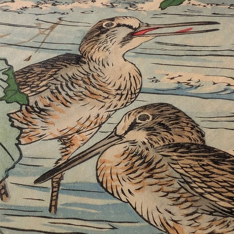 楳嶺 「楳嶺花鳥画譜　木芙蓉　鴫」