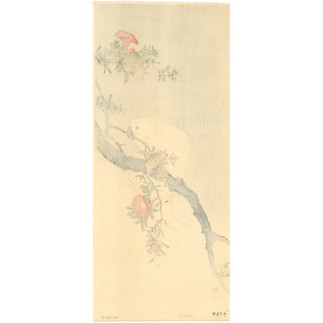 伊藤総山  (石榴に鸚鵡)
