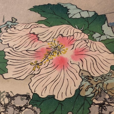楳嶺 「楳嶺花鳥画譜　木芙蓉　鴫」