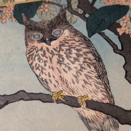楳嶺 「楳嶺花鳥画譜　木犀花　鴟鵂(ミミズク)」