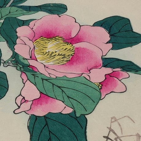 楳嶺 「楳嶺花鳥画譜　海石榴　鴨」