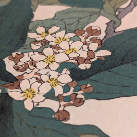 楳嶺 「楳嶺花鳥画譜　枇杷　鳥凰」