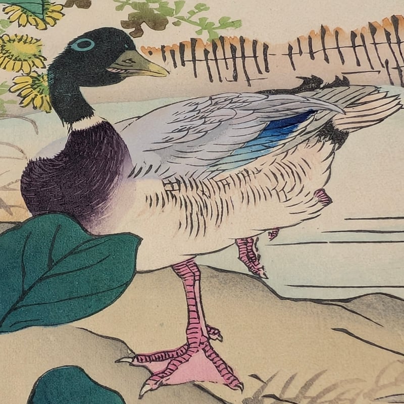 楳嶺 「楳嶺花鳥画譜 海石榴 鴨」 | 古美術もりみや