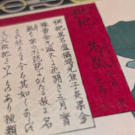 楳嶺 「楳嶺花鳥画譜　枇杷　鳥凰」