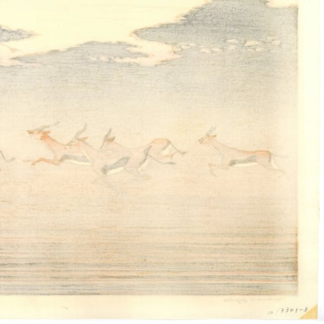 吉田遠志 「Thomson's gazelles」