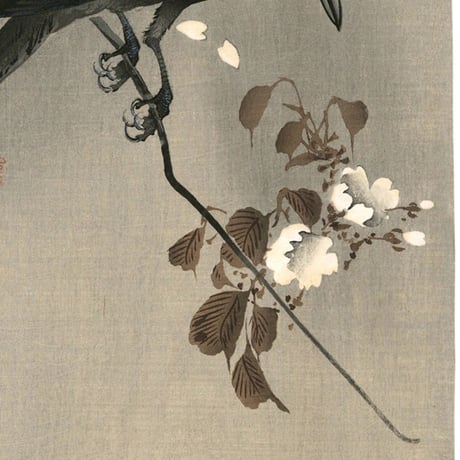 小原古邨「桜に烏」