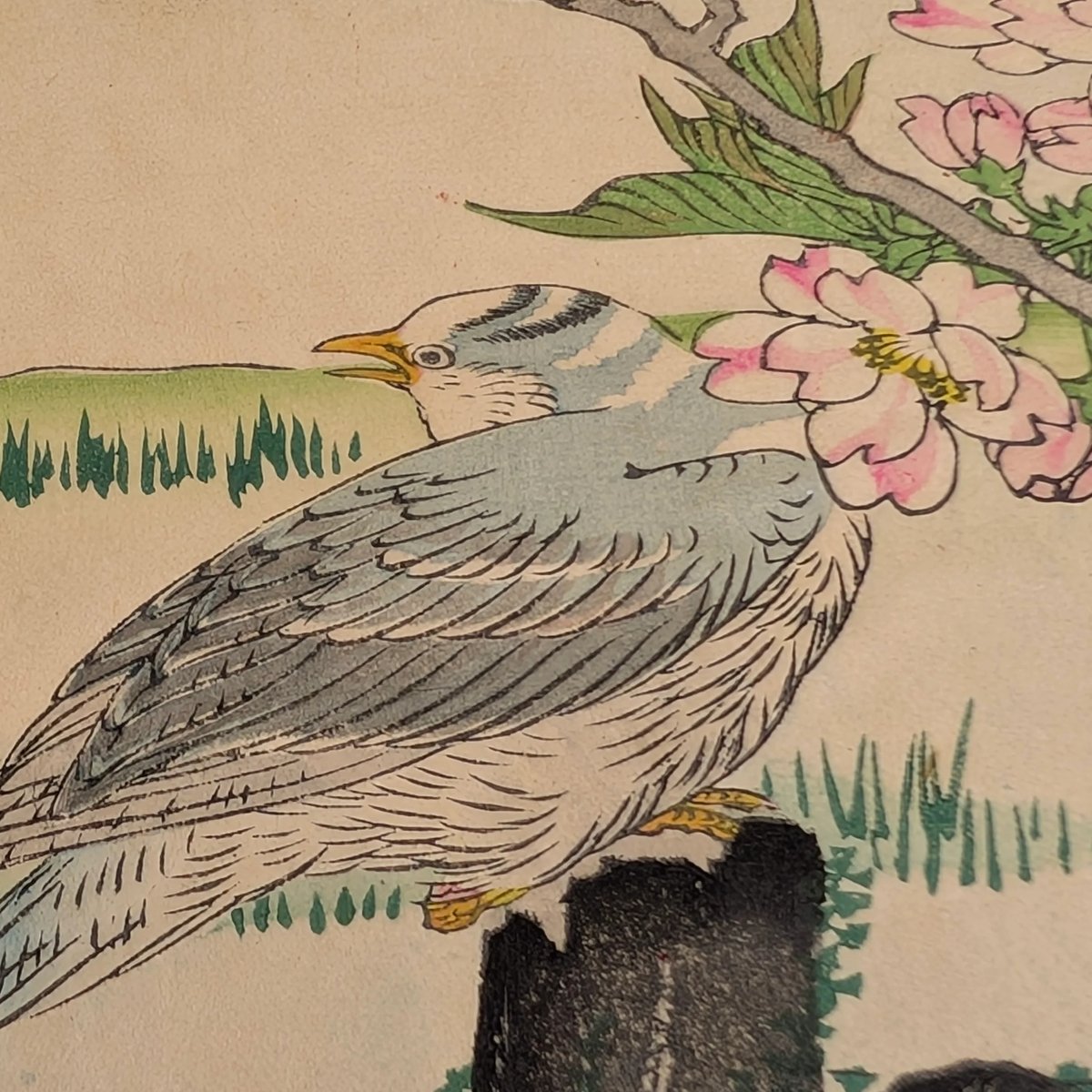 楳嶺 「楳嶺花鳥画譜 桜 鴎」 | 古美術もりみや