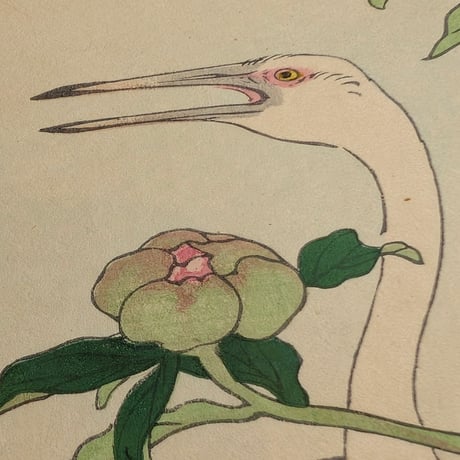 楳嶺 「楳嶺花鳥画譜　芍薬　鸛」