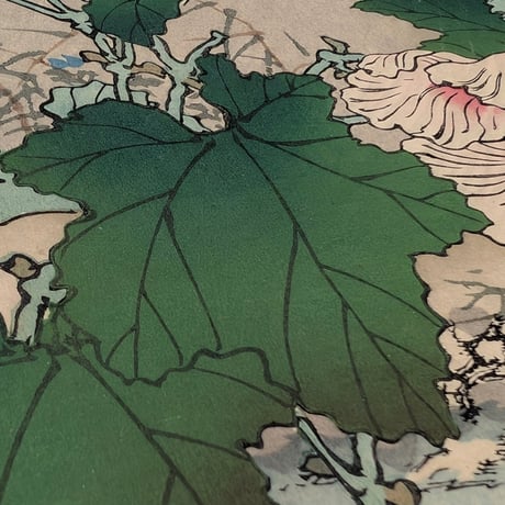楳嶺 「楳嶺花鳥画譜　木芙蓉　鴫」