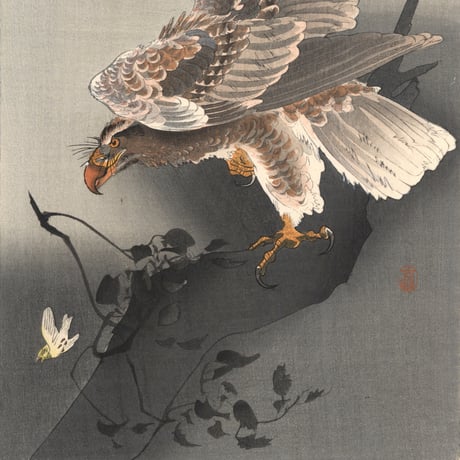 小原古邨 (小鳥を狙う大鷲)