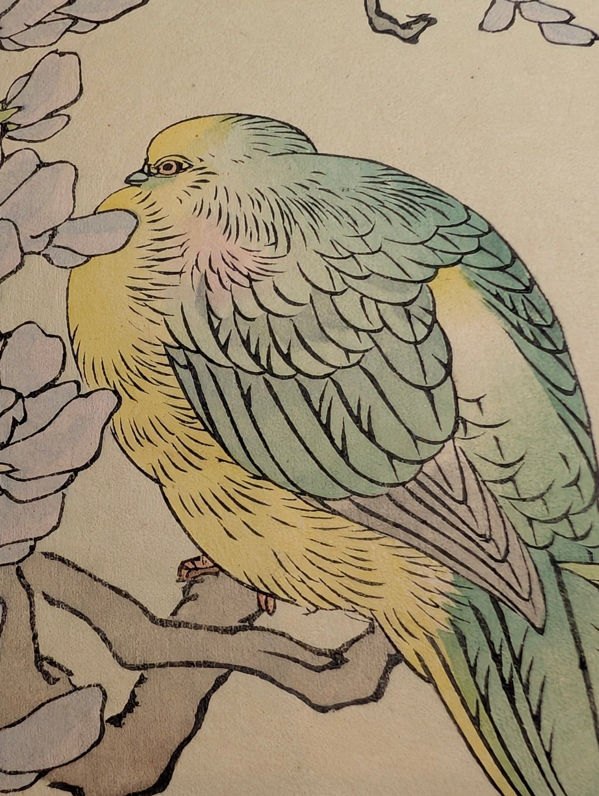 楳嶺 「楳嶺花鳥画譜 藤花 青バト」 | 古美術もりみや