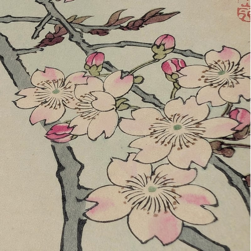 楳嶺 「楳嶺花鳥画譜 糸桜 啄木鳥」 | 古美術もりみや