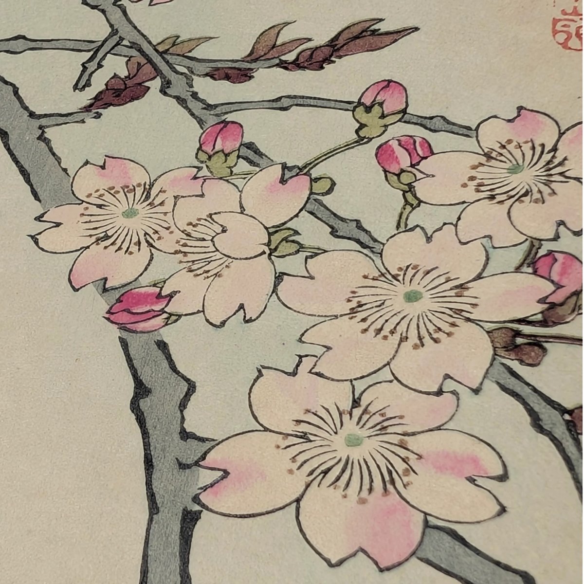 本 花鳥画譜 天・地 沼田荷舟 【書込みあり】