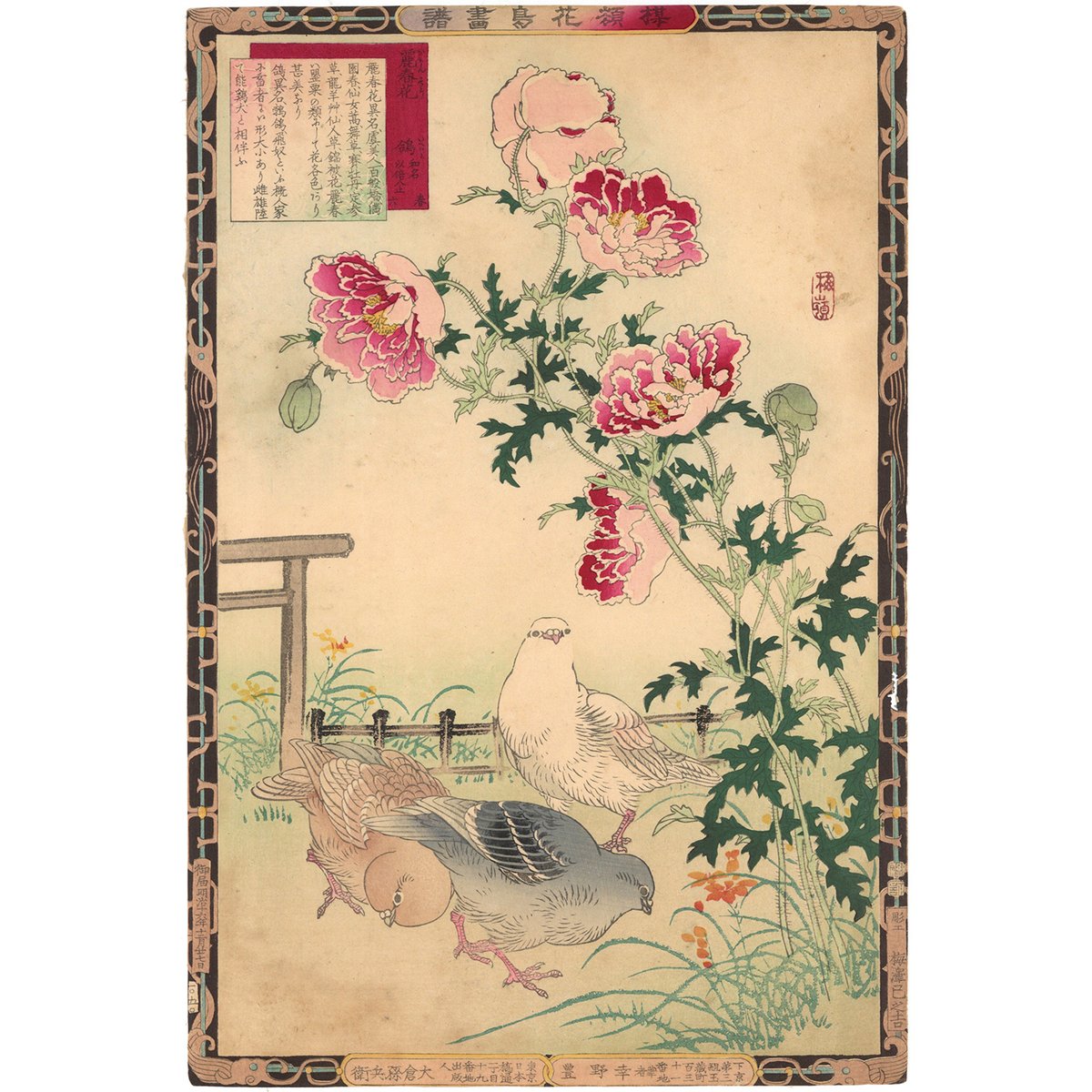 楳嶺 「楳嶺花鳥画譜 麗春花 鳩」 | 古美術もりみや
