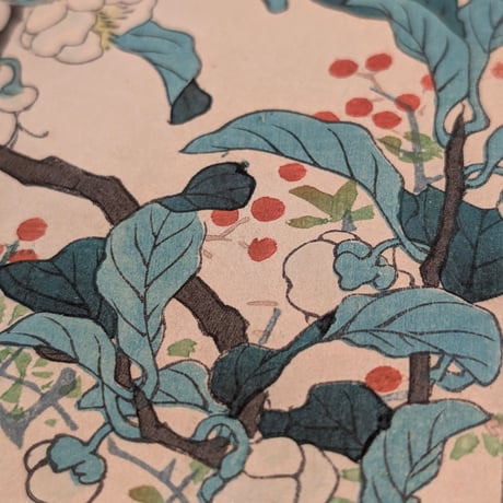 楳嶺 「楳嶺花鳥画譜　茶　鷦鷯」