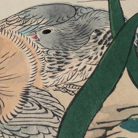 楳嶺 「楳嶺花鳥画譜　水仙　鴛鴦」
