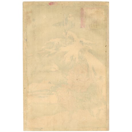 楳嶺 「楳嶺花鳥画譜　島鵯　温牡丹」