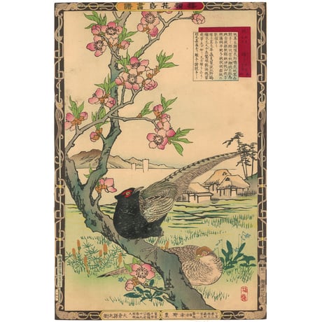 楳嶺 「楳嶺花鳥画譜　桃　雉子」