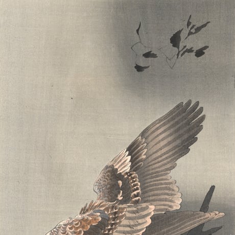小原古邨 (小鳥を狙う大鷲)