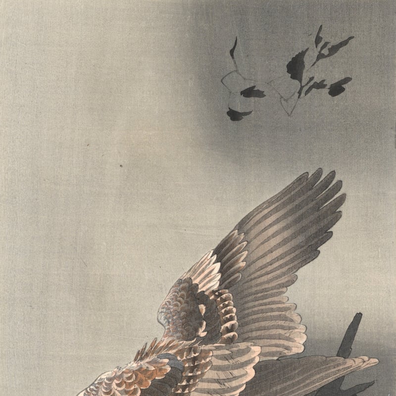 【中古】 雁木道 句集/文学の森/小原樗才（１９３７ー） 中古】 雁木道 句集/文学の森/小原樗才（1937ー） 中古