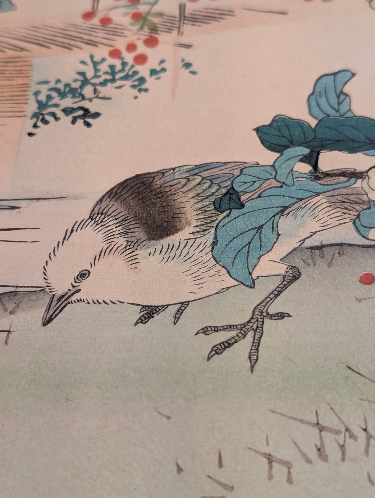 楳嶺 「楳嶺花鳥画譜 茶 鷦鷯」 | 古美術もりみや