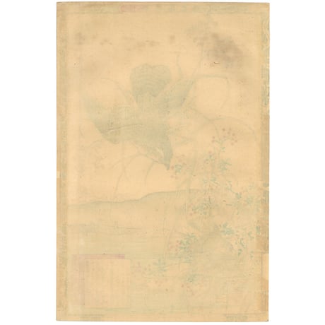 楳嶺 「楳嶺花鳥画譜　葦　鷂」