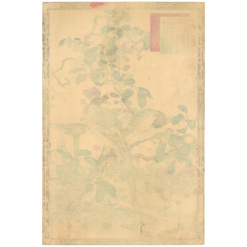 楳嶺 「楳嶺花鳥画譜 木通 練鵲」 | 古美術もりみや