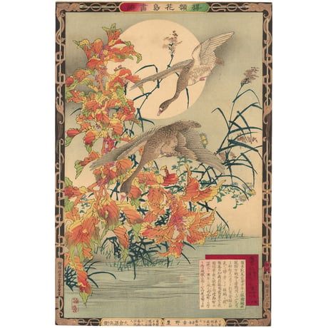 楳嶺 「楳嶺花鳥画譜　雁来紅　雁」