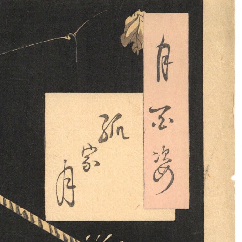 6476d614b37ea400480019e3