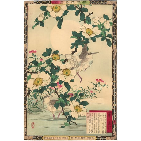 楳嶺 「楳嶺花鳥画譜　金桜子　水鶏」