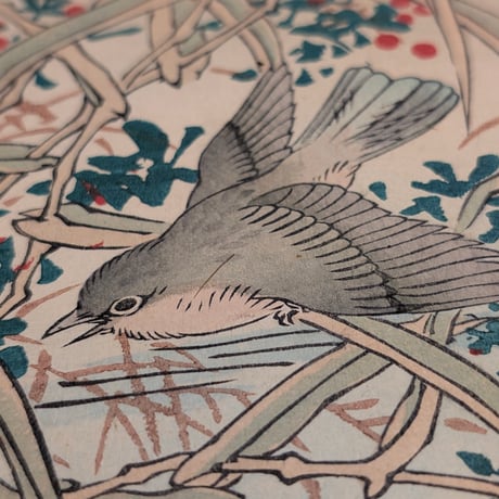 楳嶺 「楳嶺花鳥画譜　葦　鷂」