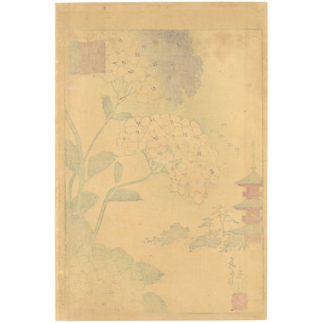 広重二代(立祥) 「東京名所三十六花撰　東都浅草花やしき紫陽花」