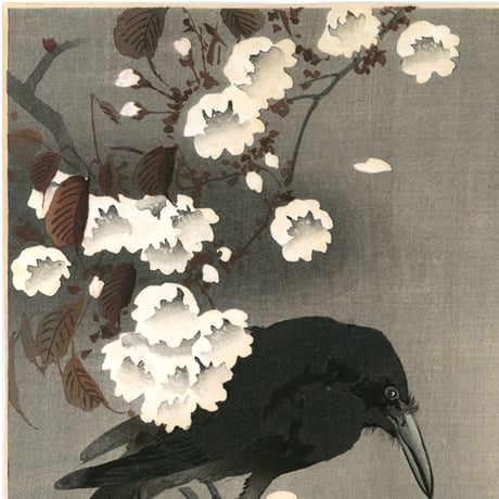 小原古邨「桜に烏」