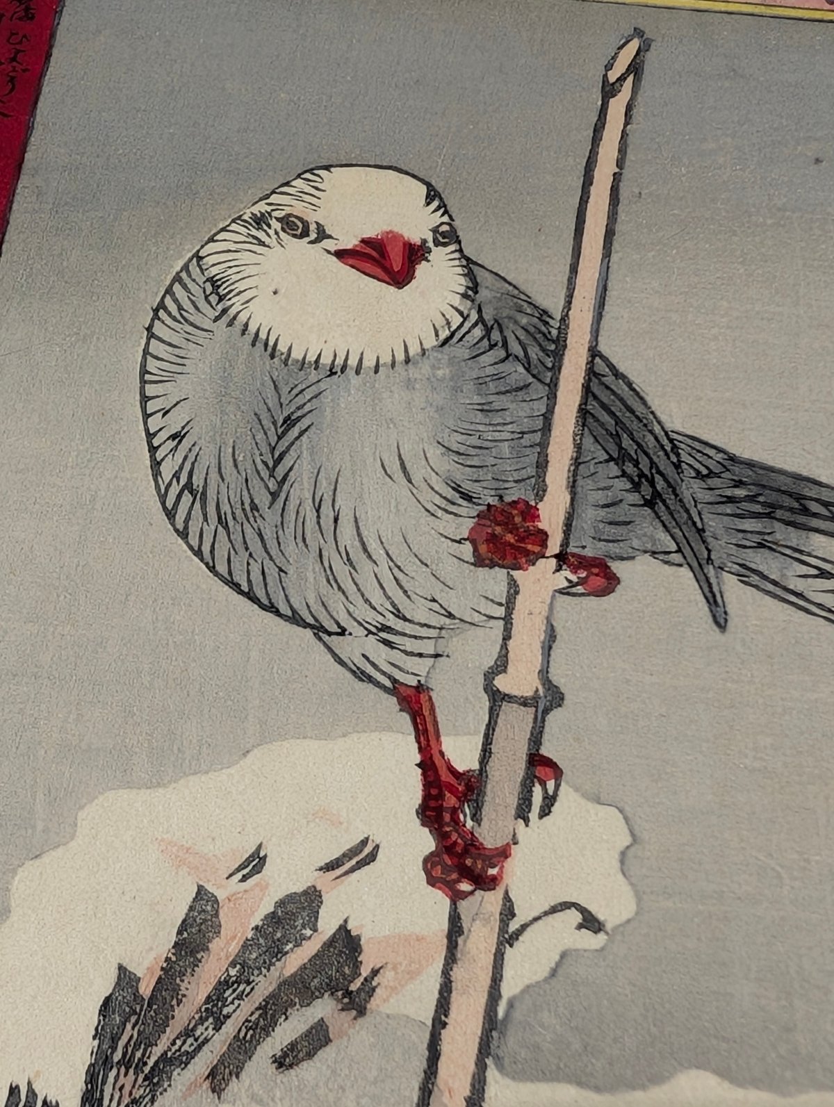 楳嶺 「楳嶺花鳥画譜 島鵯 温牡丹」 | 古美術もりみや