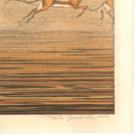 吉田遠志 「Thomson's gazelles」