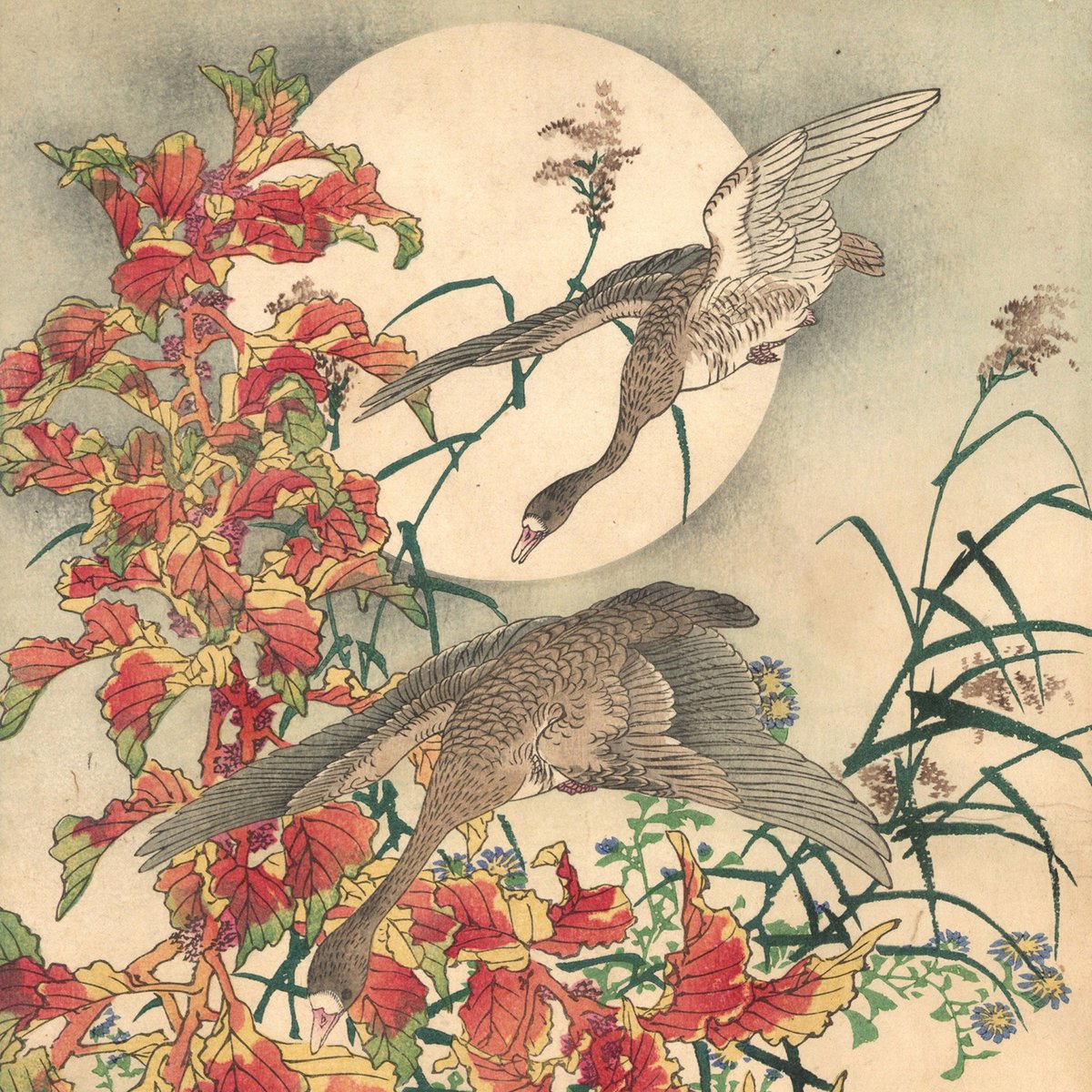 日本の花鳥画　光琳社出版刊 日本の花鳥画 光琳社出版刊