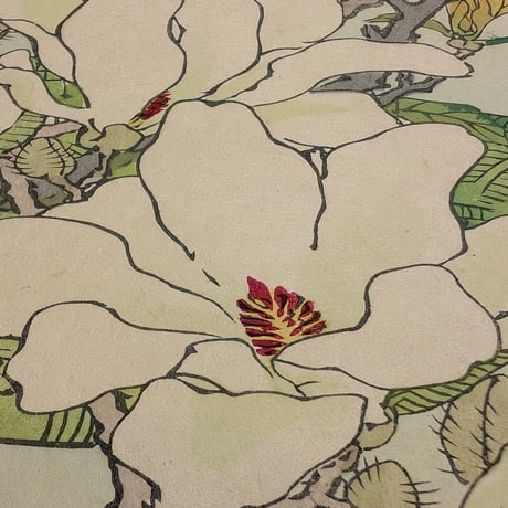 楳嶺 「楳嶺花鳥画譜　木蘭　雲雀」
