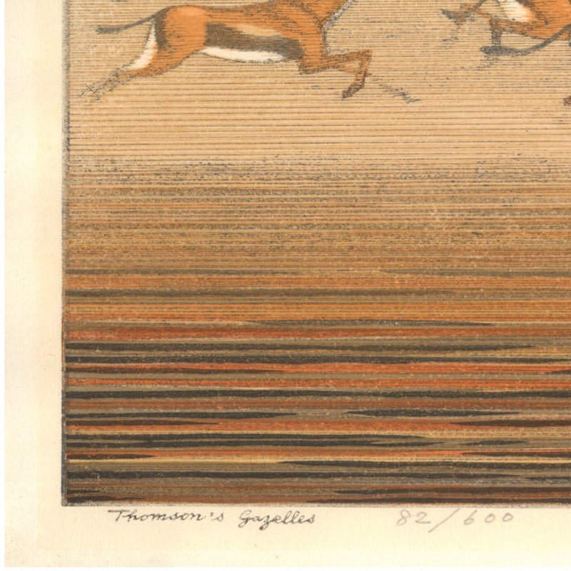 よしみ 吉田遠志 「Thomson's gazelles」 | 古美術もりみや