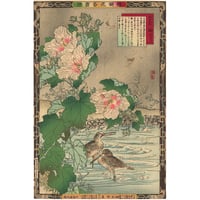 楳嶺 「楳嶺花鳥画譜　木芙蓉　鴫」