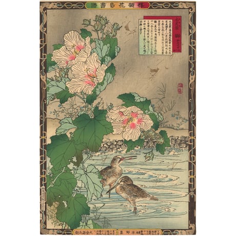 楳嶺 「楳嶺花鳥画譜　木芙蓉　鴫」